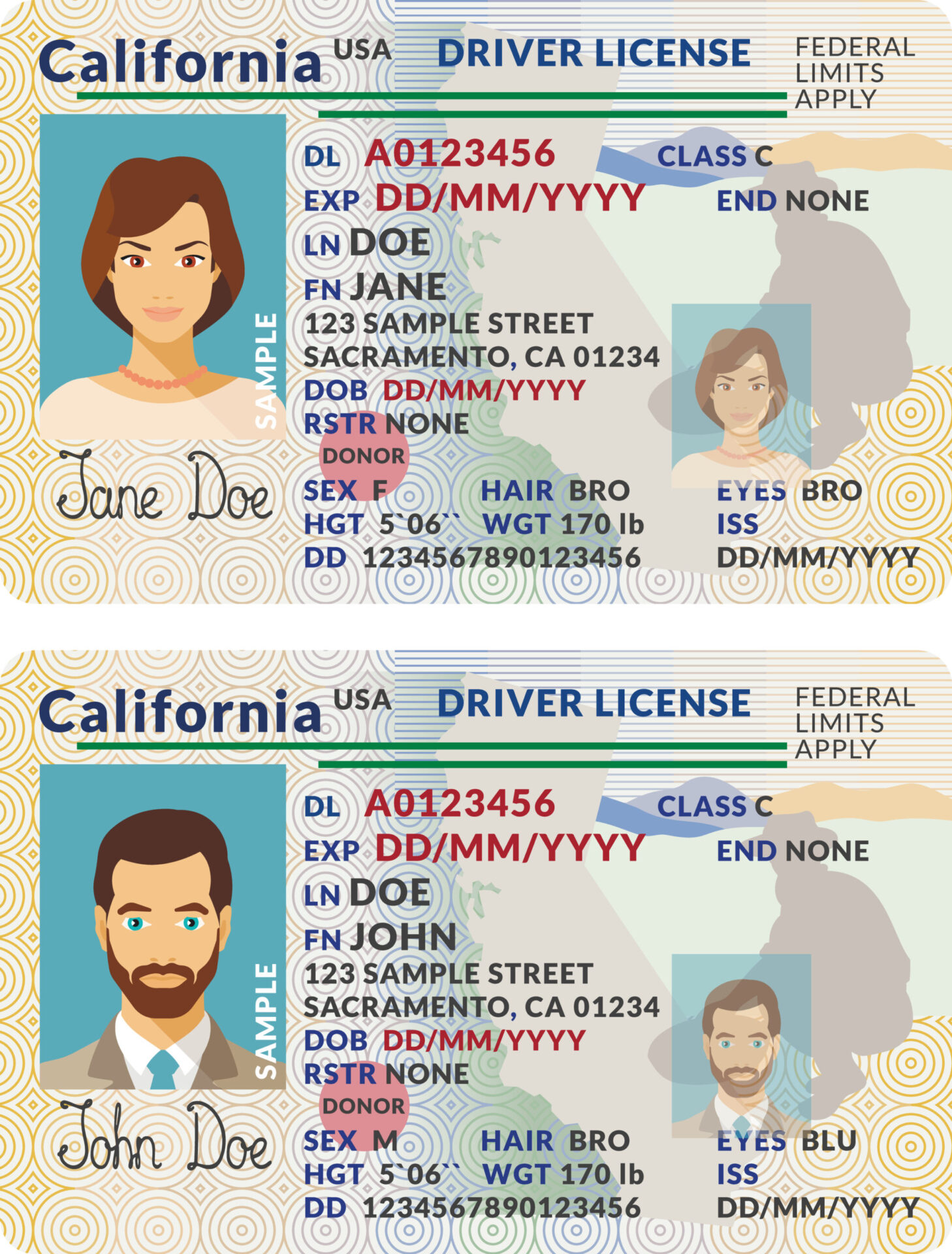 Sample driver's licenses with the holder's address printed below the name